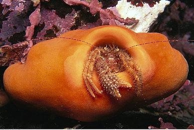 《逐光之旅》关卡拓展玩法 平台跳跃机制解析